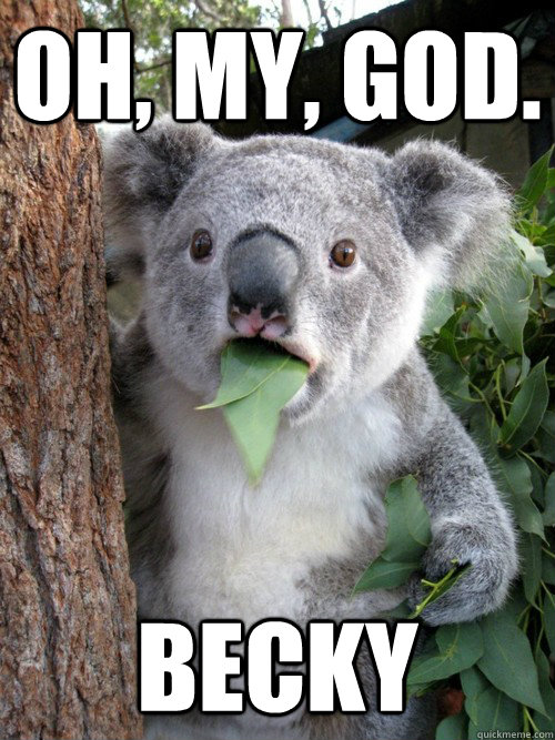 Oh, my, god. becky  koala bear