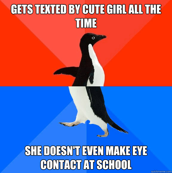 Gets texted by cute girl all the time She doesn't even make eye contact at school  Socially Awesome Awkward Penguin