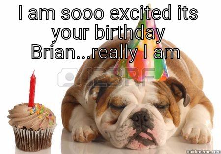 I AM SOOO EXCITED ITS YOUR BIRTHDAY BRIAN...REALLY I AM   Misc