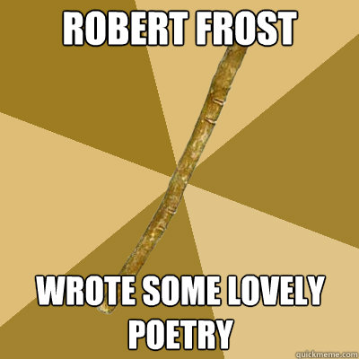 Robert Frost wrote some lovely poetry  