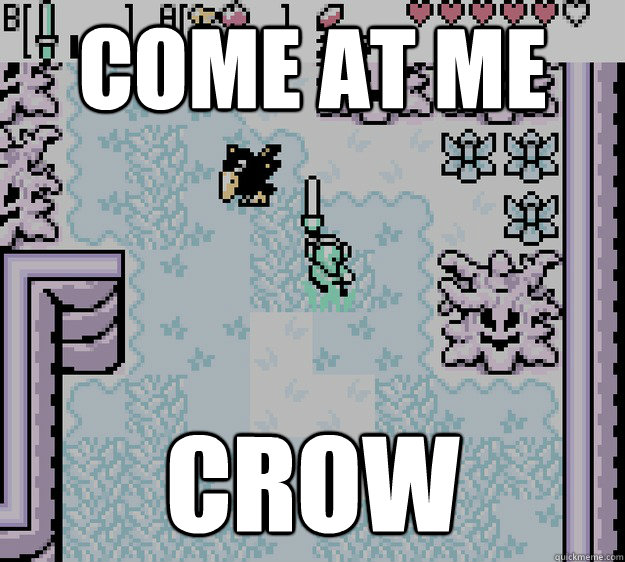 come at me crow - come at me crow  Zelda Fans Will Understand