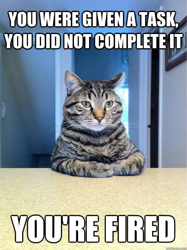 You were given a task, you did not complete it You're fired  Chris Hansen Cat