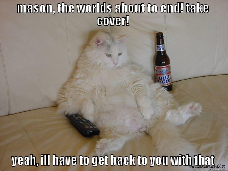 MASON, THE WORLDS ABOUT TO END! TAKE COVER! YEAH, ILL HAVE TO GET BACK TO YOU WITH THAT Misc