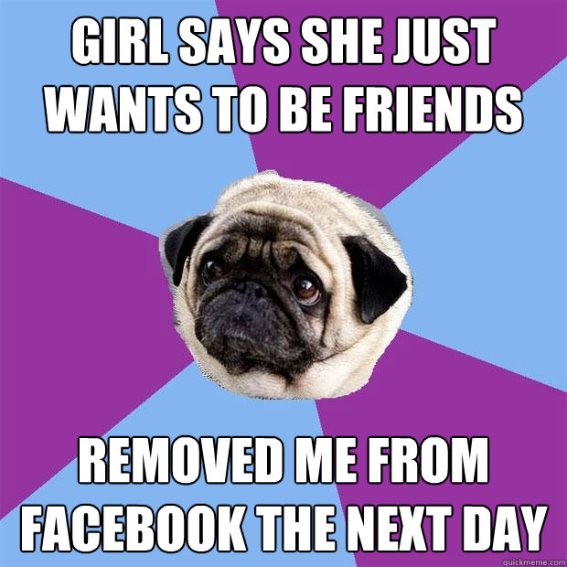 Girl says she just wants to be friends Removed me from Facebook the next day  Lonely Pug