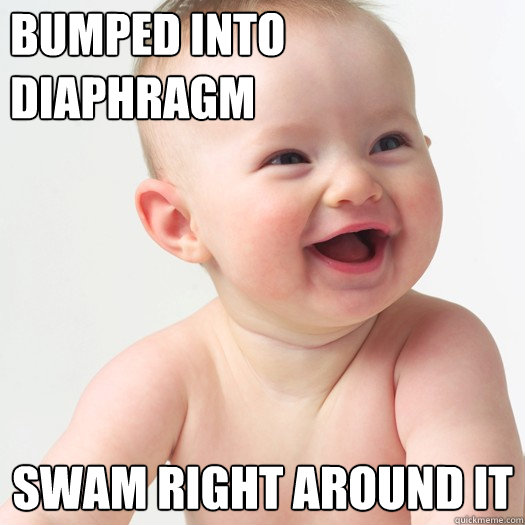 bumped into diaphragm swam right around it  