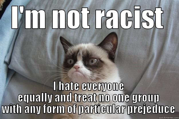 I'M NOT RACIST I HATE EVERYONE EQUALLY AND TREAT NO ONE GROUP WITH ANY FORM OF PARTICULAR PREJEDUCE Grumpy Cat
