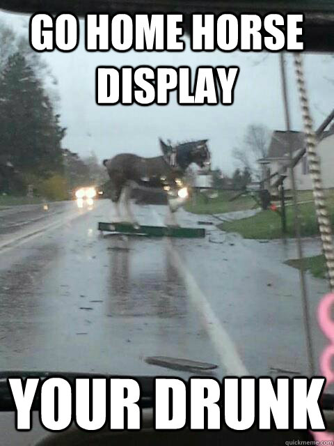 GO home horse display your drunk  drunk horse