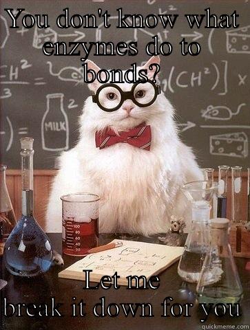 YOU DON'T KNOW WHAT ENZYMES DO TO BONDS? LET ME BREAK IT DOWN FOR YOU Chemistry Cat