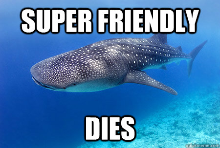 Super friendly dies - Super friendly dies  Good Guy Whale Shark