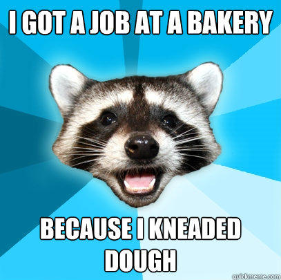 I GOT A JOB AT A BAKERY BECAUSE I KNEADED DOUGH  