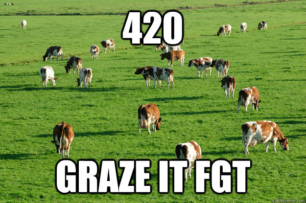 420 GRAZE IT FGT  420 Graze it