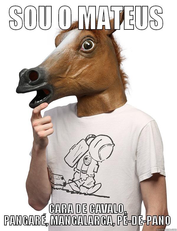 SOU O MATEUS CARA DE CAVALO, PANGARÉ, MANGALARGA, PÉ-DE-PANO Misc