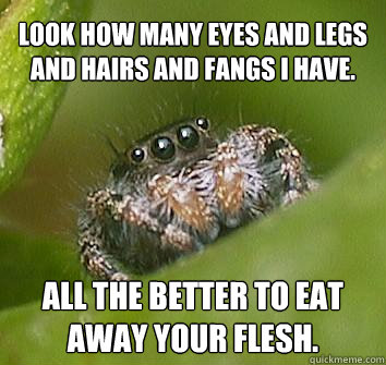 Look how many eyes and legs and hairs and fangs I have. All the better to eat away your flesh.  Misunderstood Spider