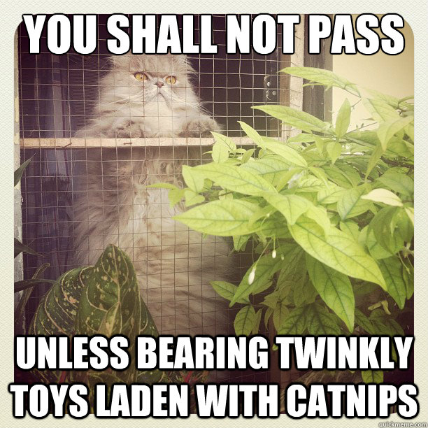 YOU SHALL NOT PASS unless bearing twinkly toys laden with catnips - YOU SHALL NOT PASS unless bearing twinkly toys laden with catnips  Gatekeeper Cat