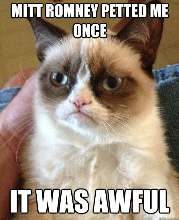Mitt Romney petted me once It was awful  - Mitt Romney petted me once It was awful   Grumpy Cat