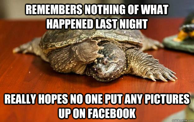 remembers nothing of what happened last night really hopes no one put any pictures up on facebook - remembers nothing of what happened last night really hopes no one put any pictures up on facebook  Hangover turtle