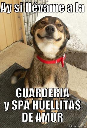 AY SI LLÉVAME A LA  GUARDERIA Y SPA HUELLITAS DE AMOR Good Dog Greg