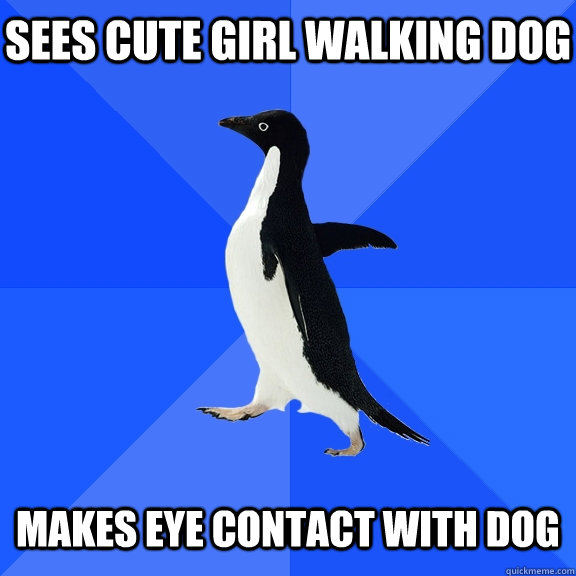 Sees cute girl walking dog   Makes eye contact with dog  Socially Awkward Penguin