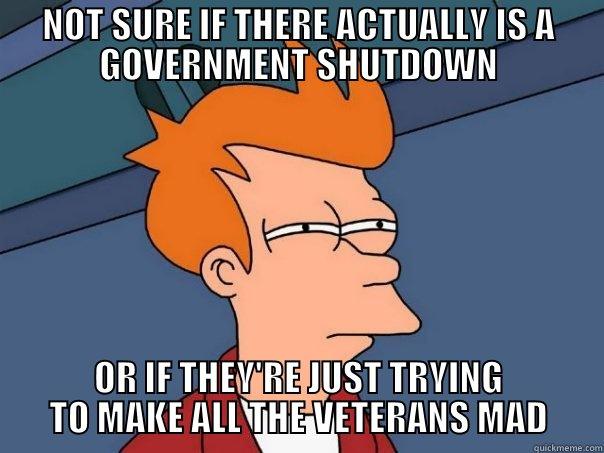   - NOT SURE IF THERE ACTUALLY IS A GOVERNMENT SHUTDOWN OR IF THEY'RE JUST TRYING TO MAKE ALL THE VETERANS MAD Futurama Fry