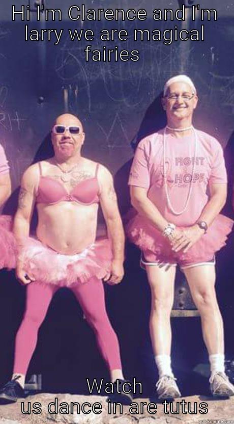 HI I'M CLARENCE AND I'M LARRY WE ARE MAGICAL FAIRIES  WATCH  US DANCE IN ARE TUTUS  Misc