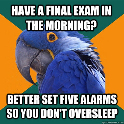 HAVE A FINAL EXAM IN THE MORNING? BETTER SET FIVE ALARMS SO YOU DON'T OVERSLEEP  Paranoid Parrot