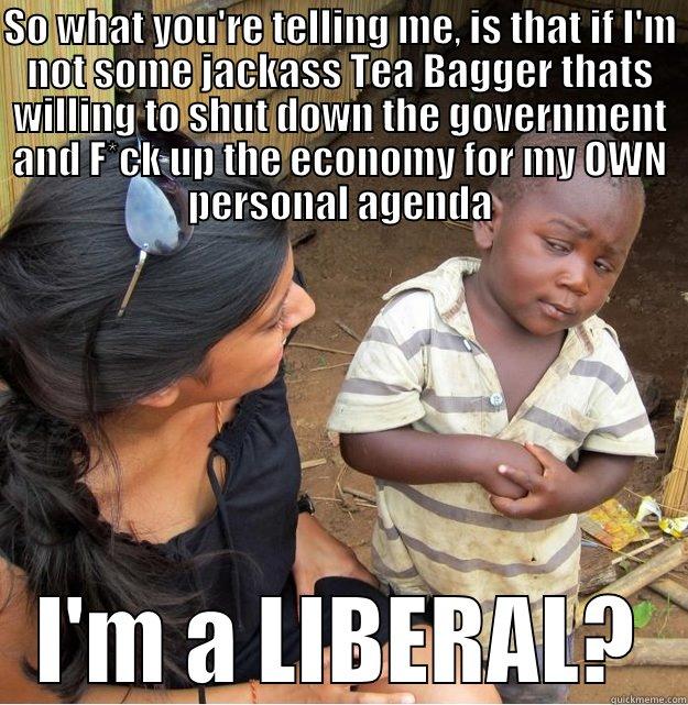 SO WHAT YOU'RE TELLING ME, IS THAT IF I'M NOT SOME JACKASS TEA BAGGER THATS WILLING TO SHUT DOWN THE GOVERNMENT AND F*CK UP THE ECONOMY FOR MY OWN PERSONAL AGENDA I'M A LIBERAL? Skeptical Third World Kid