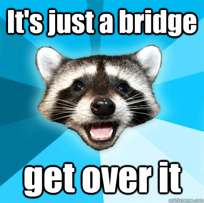 It's just a bridge get over it  Lame Pun Coon