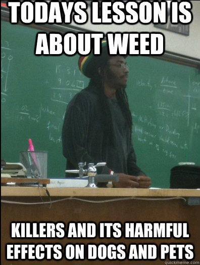 todays lesson is about weed killers and its harmful effects on dogs and pets - todays lesson is about weed killers and its harmful effects on dogs and pets  Rasta Science Teacher