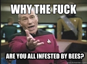 why the fuck are you all infested by bees?  Annoyed Picard