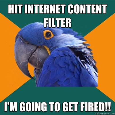 Hit Internet Content filter I'M GOING TO GET FIRED!!  Paranoid Parrot