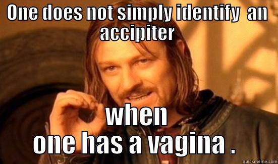 ONE DOES NOT SIMPLY IDENTIFY  AN ACCIPITER WHEN ONE HAS A VAGINA .  Boromir