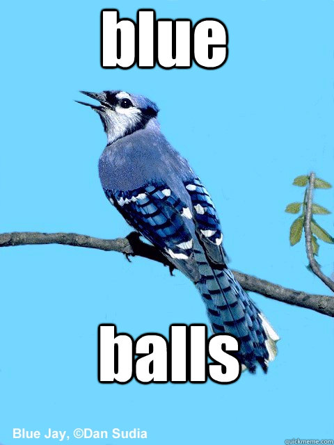blue balls - Blue Team Bird - quickmeme