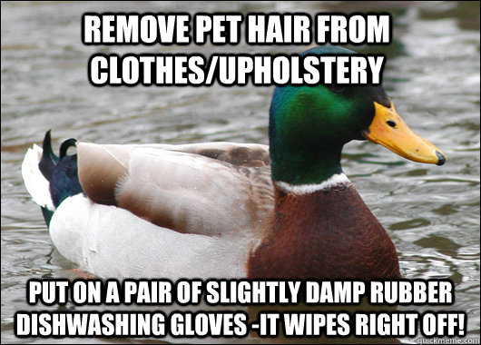 Remove pet hair from clothes/upholstery Put on a pair of slightly damp rubber dishwashing gloves -it wipes right off!  Actual Advice Mallard