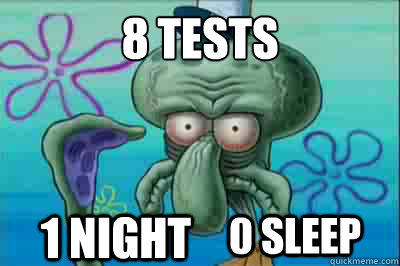 8 Tests
 1 Night 0 Sleep   Fed up squidward