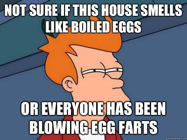 Not sure if This house smells like boiled eggs Or everyone has been blowing egg farts  Not sure Fry