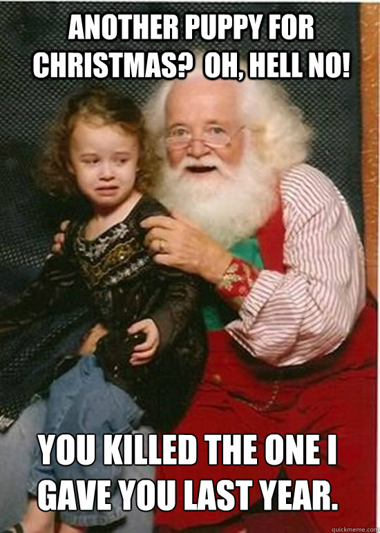 Another puppy for Christmas?  Oh, hell no! You killed the one I gave you last year.
  