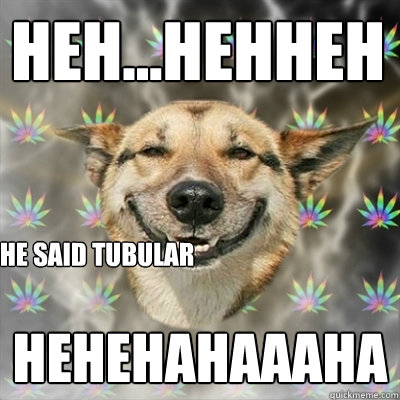 heh...hehheh heheHAHAAAHA he said tubular  Stoner Dog
