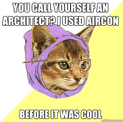 You call yourself an architect? I used aircon before it was cool  Hipster Kitty