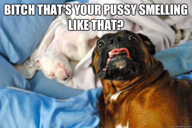 Bitch that's your pussy smelling like that?    