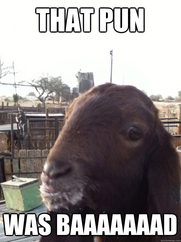 That pun Was baaaaaaad - That pun Was baaaaaaad  Meme goat