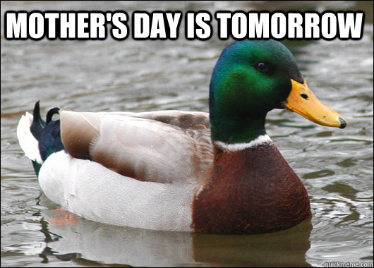 Mother's Day is tomorrow   Actual Advice Mallard
