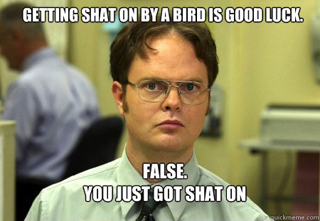 Getting shat on by a bird is good luck. FALSE.  
you just got shat on  Schrute