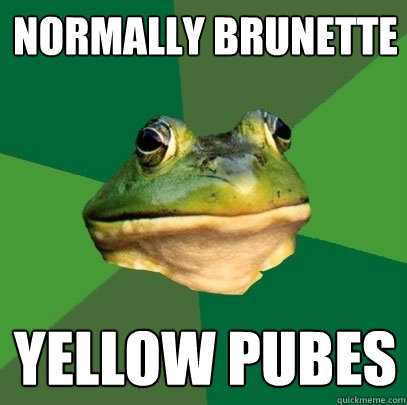 normally brunette yellow pubes  Foul Bachelor Frog