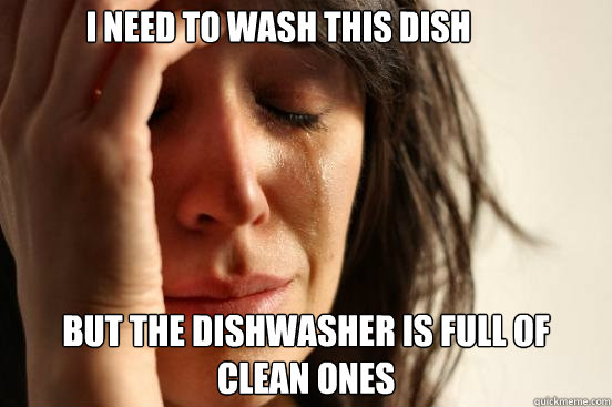 I need to wash this dish but the dishwasher is full of clean ones  First World Problems