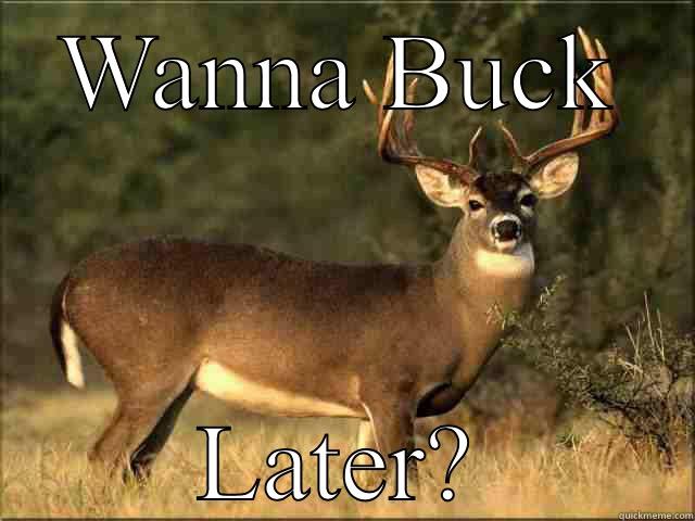 WANNA BUCK LATER? Misc