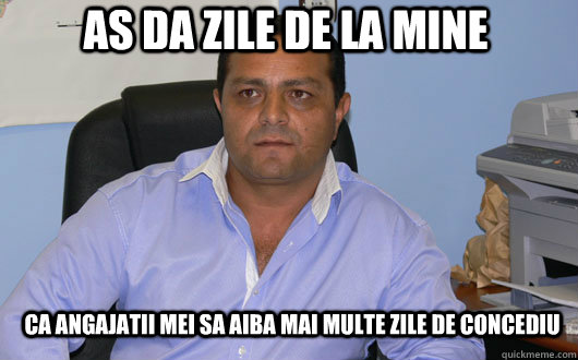 As da zile de la mine Ca angajatii mei sa aiba mai multe zile de concediu  Omul de Afaceri Rrom