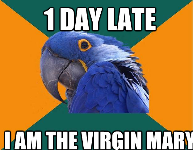 1 day late i am the virgin mary   Paranoid Parrot