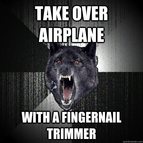 take over airplane with a fingernail trimmer   Insanity Wolf