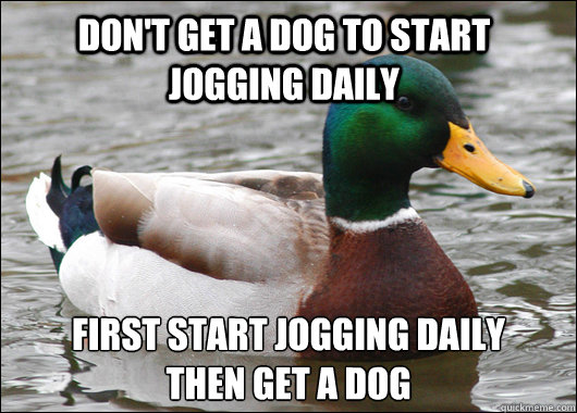 Don't get a dog to start jogging daily First start jogging daily
then get a dog - Don't get a dog to start jogging daily First start jogging daily
then get a dog  Actual Advice Mallard