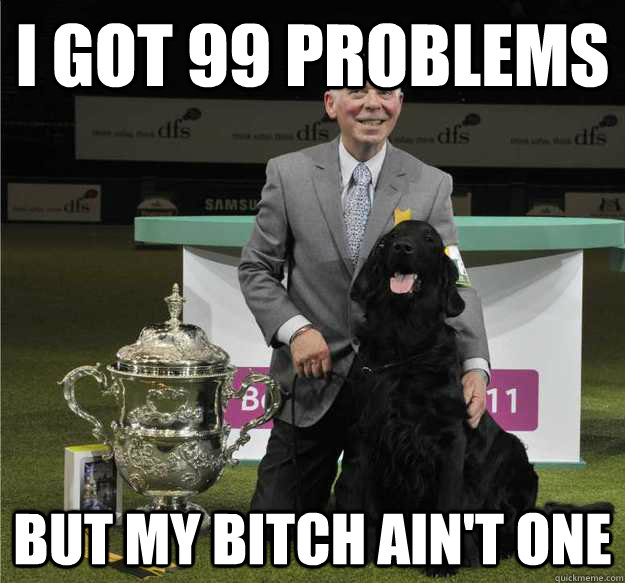 I got 99 problems but my bitch ain't one - I got 99 problems but my bitch ain't one  Crufts Problems